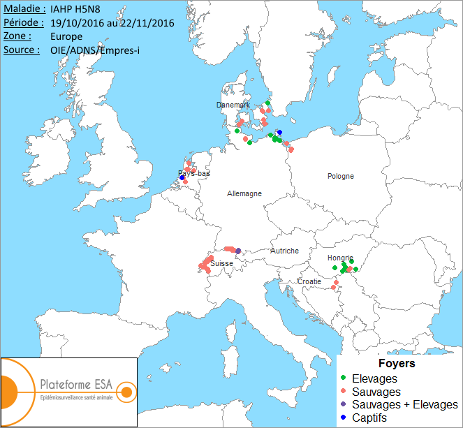 Figure 1 : Carte européenne des foyers et cas d’IAHP H5N8 déclarés en octobre - novembre 2016 (situation au 22 novembre 2016 - source OIE/ADNS/Empres-i).