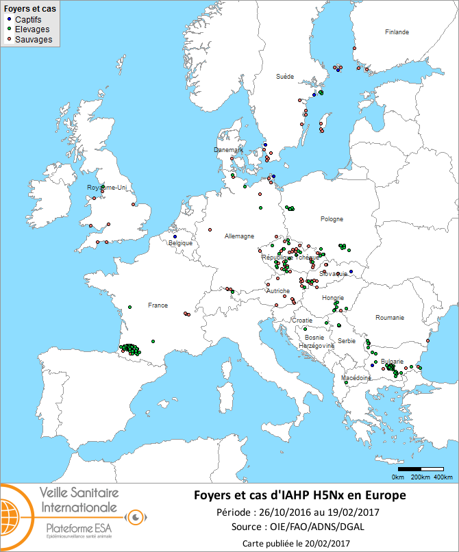 Figure 5 : Carte des foyers et de cas d’IAHP H5Nx déclarés dans l’UE entre le 26 octobre 2016 et le 19 février 2017 inclus (sources : OIE/ADNS/DGAL).