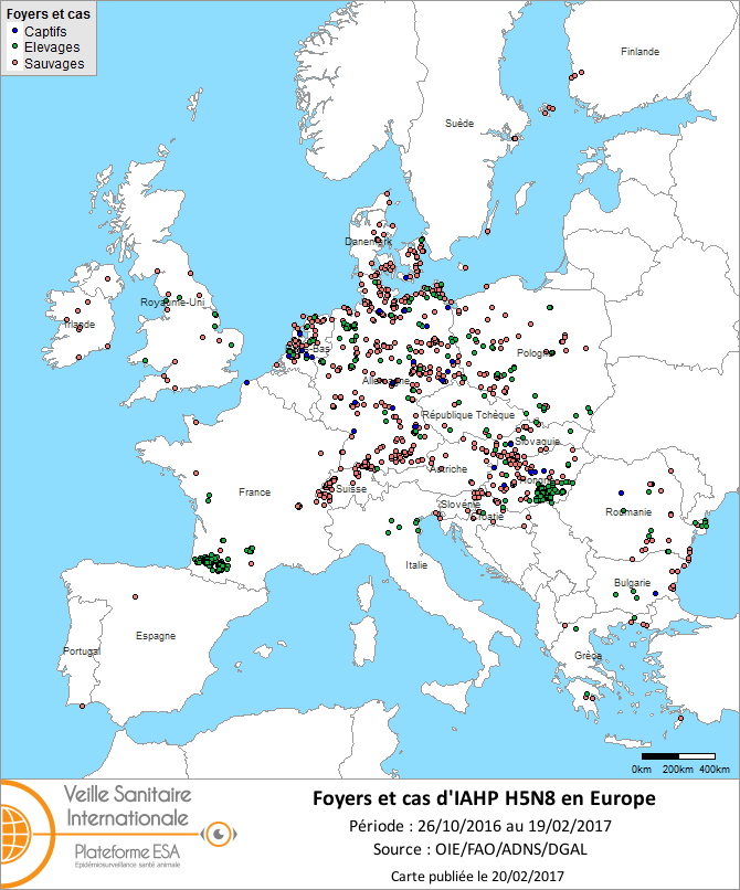 Figure 3 : Carte des foyers et de cas d’IAHP H5N8 déclarés dans l’UE et en Suisse entre le 26 octobre 2016 et le 19 février 2017 inclus (sources : OIE/ADNS/DGAL).