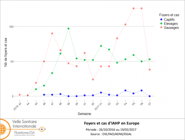 Figure 1 : Nombre de foyers et de cas d'IAHP en Europe (UE et Suisse) par semaine du 26 octobre 2016 au 19 février 2017 (inclus) (source: ADNS/OIE/DGAL).