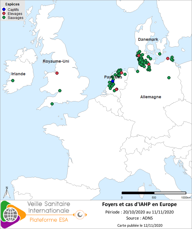 Localisation des cas sauvages et foyers domestiques d’IAHP H5Nx en Europe confirmés entre le 20/10 et le 11/11/2020 inclus 