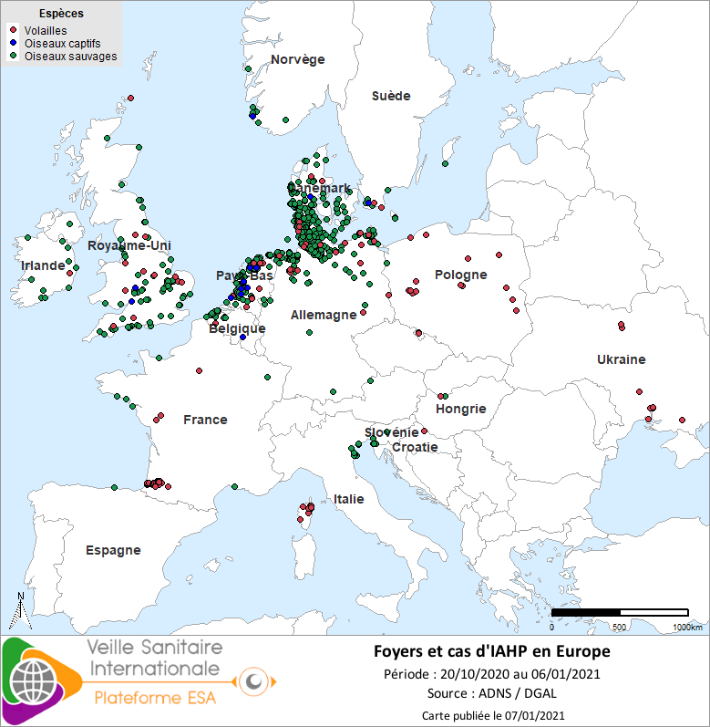 Localisation des cas sauvages et foyers domestiques /captifs d’IAHP H5Nx en Europe confirmés entre le 20/10 et le 06/01/2021 inclus 