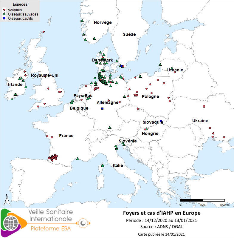  Localisation des cas sauvages et foyers domestiques /captifs d’IAHP H5Nx en Europe confirmés entre le 14/12/2020 et le 13/01/2021 inclus
