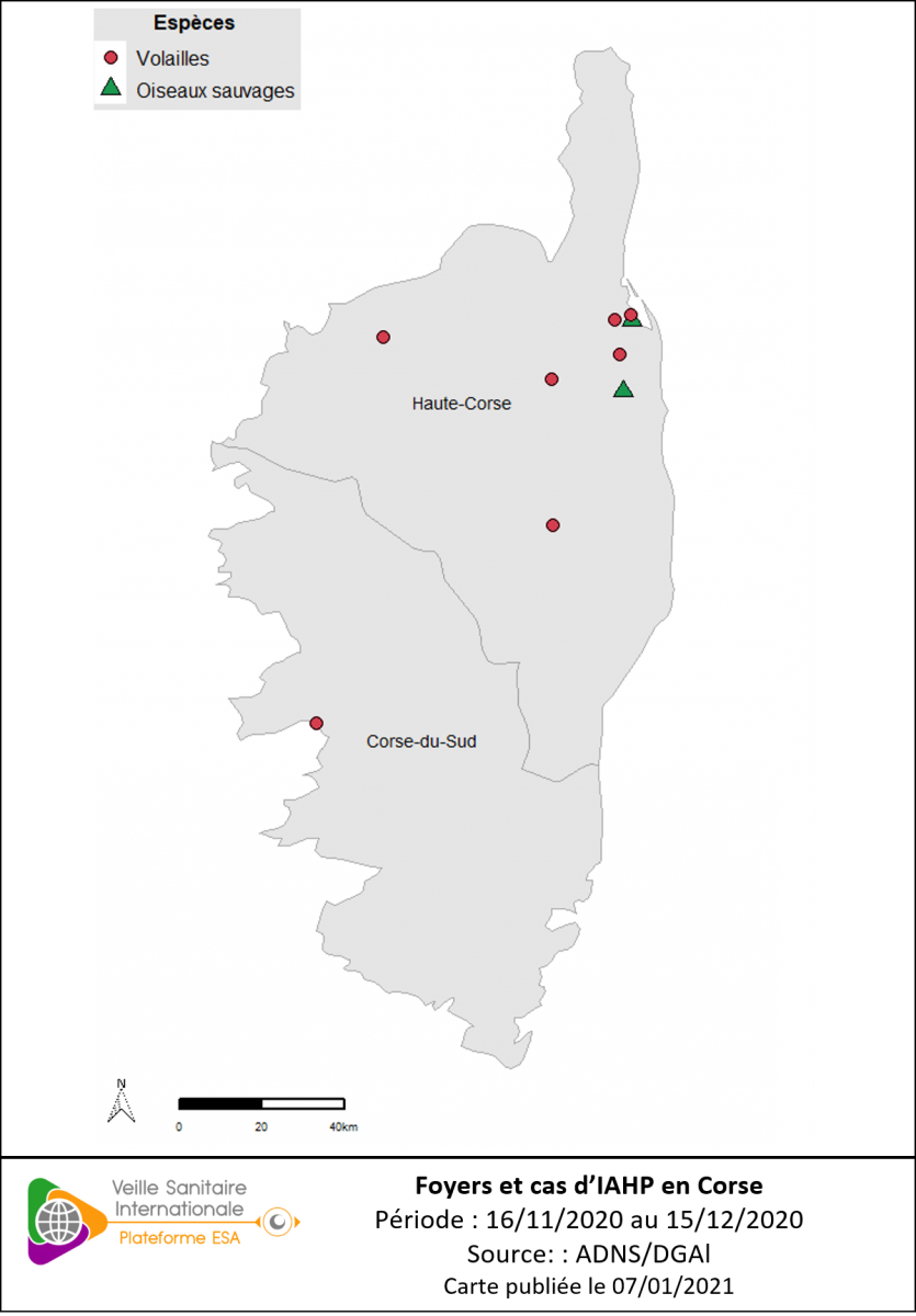 Localisation des cas sauvages et foyers domestiques d’IAHP H5Nx en Corse confirmés entre le 16/11/2020 et le 15/12/2020 inclus 