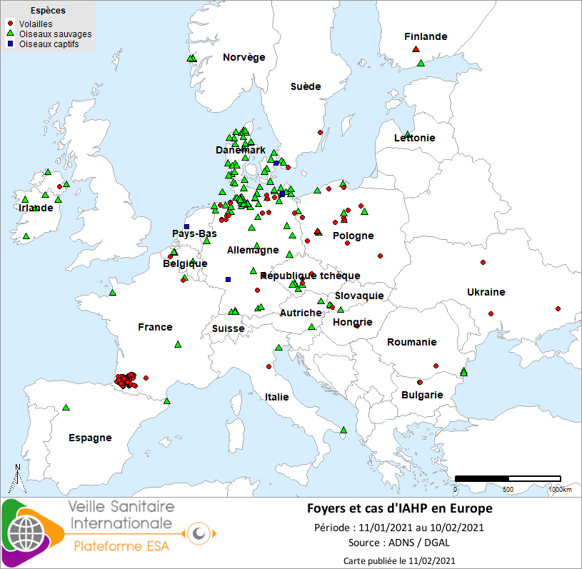 Localisation des cas sauvages et foyers domestiques d’IAHP H5Nx en France dans le sud-ouest confirmés entre le 06/12/2020 et le 10/02/2021 inclus