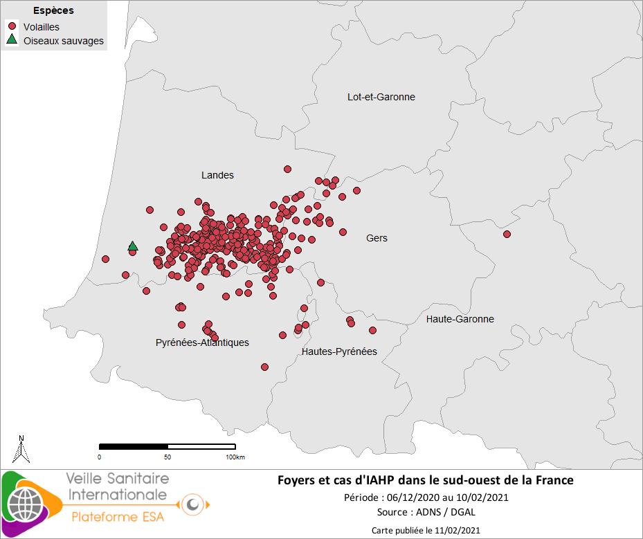 Localisation des cas sauvages et foyers domestiques /captifs d’IAHP H5Nx en Europe confirmés entre le 11/01 et le 10/02/2021 inclus