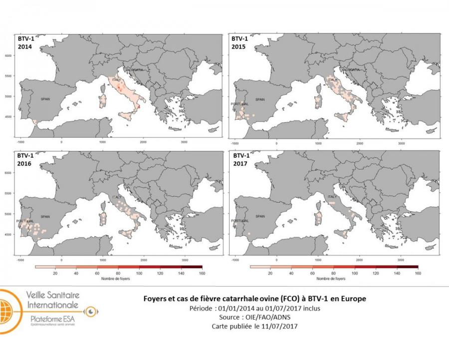 Figure 1 : Evolution des foyers de FCO BTV-1 en Europe de janvier 2014 à juillet 2017 (situation au 01/07/2017)