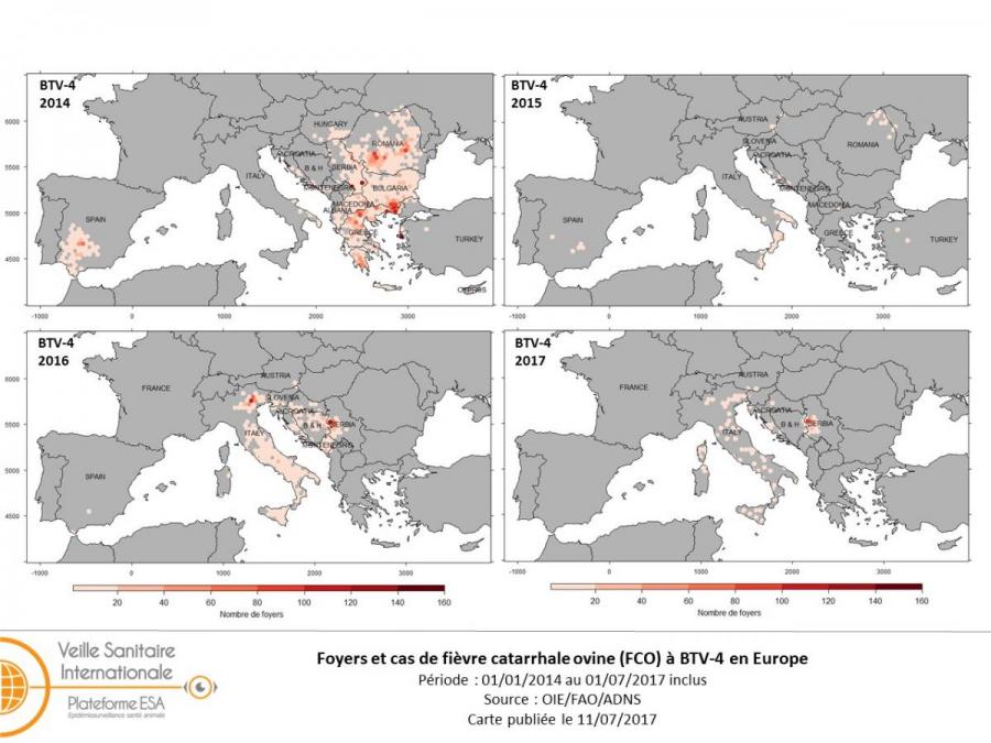 Figure 3 : Evolution des foyers de FCO BTV-4 en Europe de janvier 2014 à juillet 2017 (situation au 01/07/2017)