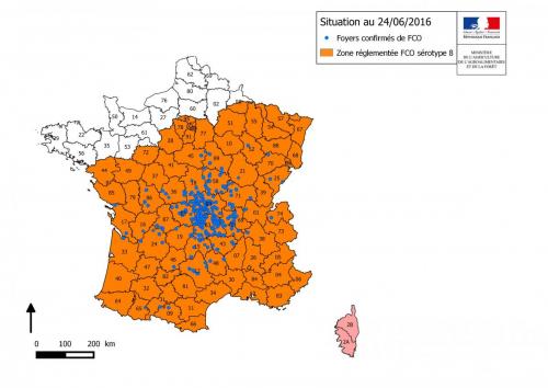 igure 8 : Zones réglementées et foyers de FCO à sérotype 8 détectés au 24 juin 2016