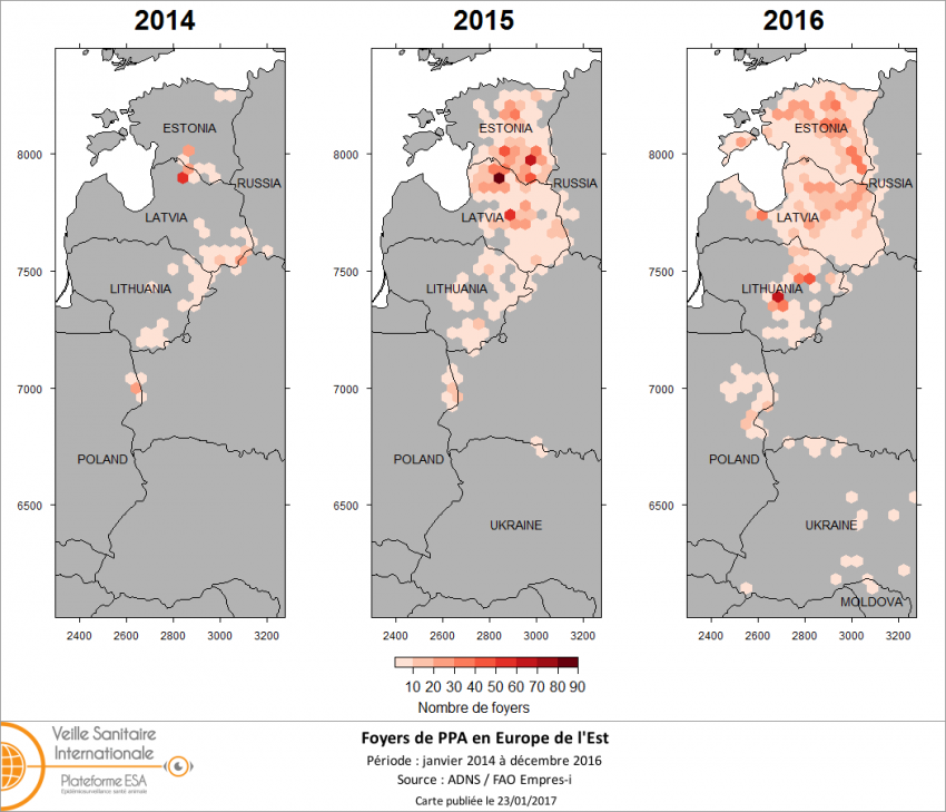 Figure 1: Evolution des foyers et cas de peste porcine africaine (PPA) chez les porcs domestiques et les sangliers sauvages dans le Nord-Est de l’Europe