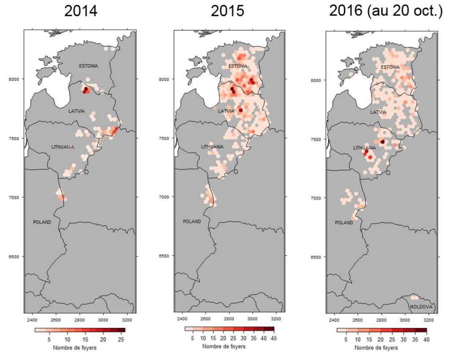 Figure 1 : Evolution des foyers de peste porcine africaine (PPA) chez les porcs domestiques et les sangliers sauvages en Europe 