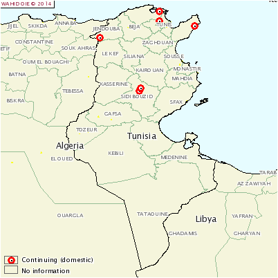 Figure 2. Localisation des foyers de fièvre aphteuse en Tunisie au 6 mai 2014