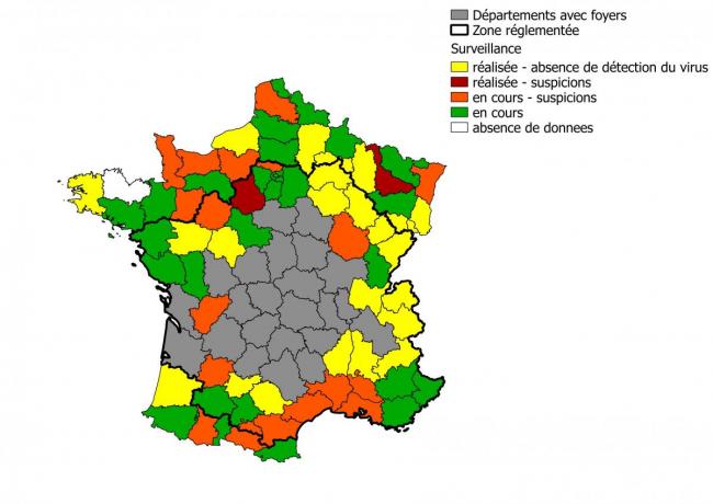 Figure 2: Niveau de réalisation et résultats de la surveillance programmée 