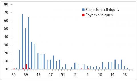 Figure 4 : Nombre d’élevages suspects cliniques de FCO par semaine, pour lesquels une analyse a été réalisée entre début septembre