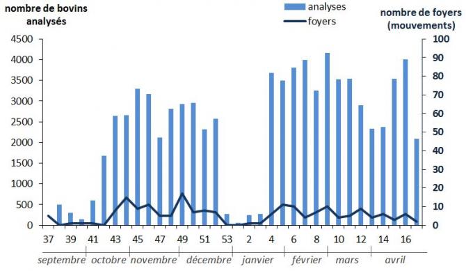 Figure 5 : Nombre d’analyses PCR FCO réalisées lors de mouvements d’animaux (sortie des animaux hors de la zone réglementée)