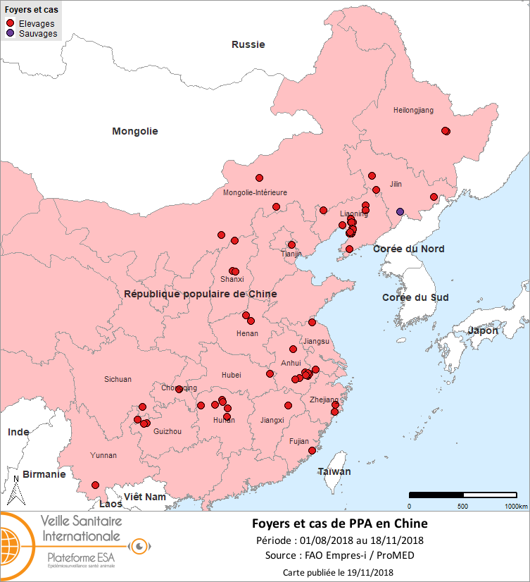 Figure. Foyers et cas de PPA en Chine au 18/11/2018