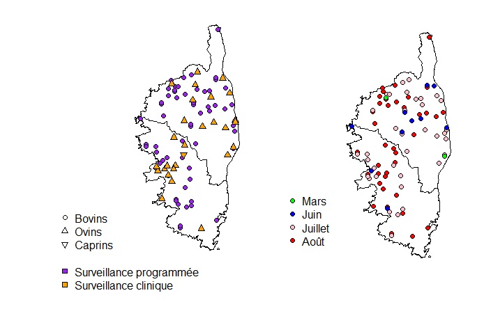 Figure 1 – Foyers de FCO détectés en Corse du 1er janvier au 24 août 2017 inclus