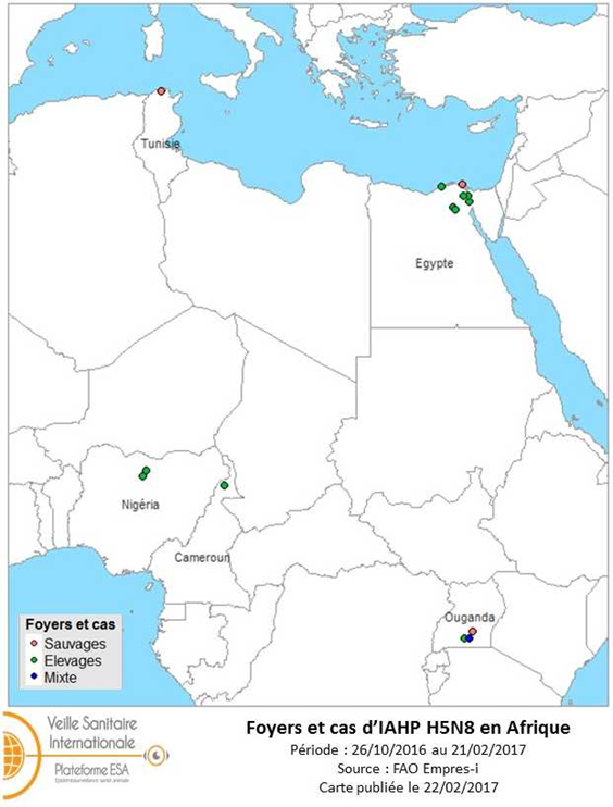 Figure 1: Carte des foyers et cas d'IAHP H5N8 en Afrique du 26 octobre 2016 au 21 février 2017 (source: OIE/FAO Empres-i)