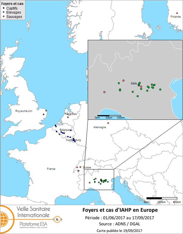 Figure 1 : Carte des foyers et de cas d’IAHP H5 déclarés en Europe du 1er juin 2017 au 17 septembre 2017 inclus (sources : OIE/ADNS/DGAL).