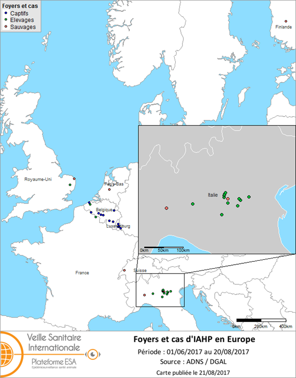 Figure 1 : Carte des foyers et de cas d’IAHP H5 déclarés en Europe du 1er juin 2017 au 20 août 2017 inclus (sources : OIE/ADNS/DGAL).