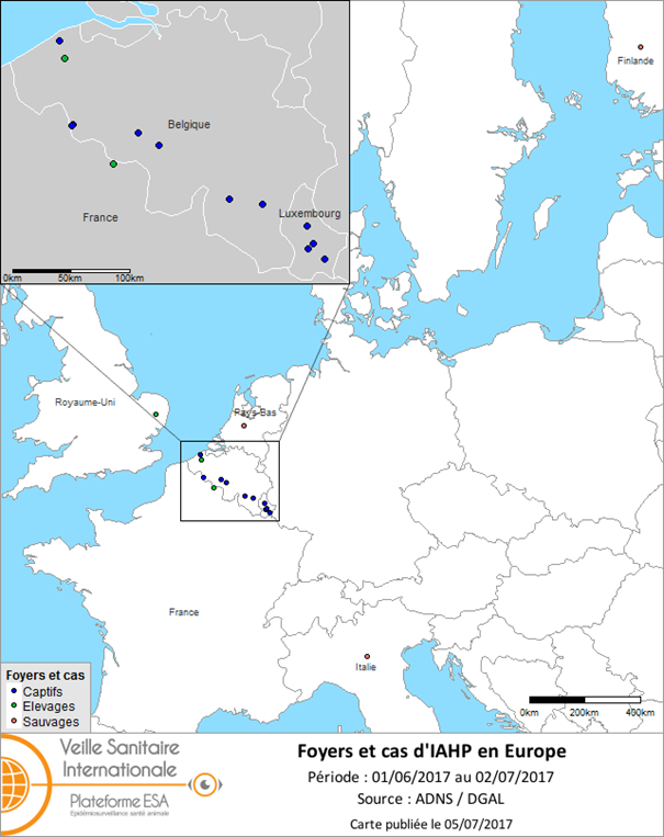 Figure 1 : Carte des foyers et de cas d’IAHP H5 déclarés en Europe entre le 1er juin 2017 et le 2 juillet 2017 inclus (sources : OIE/ADNS/DGAL).