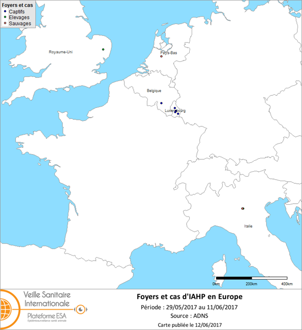 Figure 1 : Carte des foyers et de cas d’IAHP H5 déclarés en Europe entre le 29 mai 2017 et 11 juin 2017 inclus (sources : OIE/ADNS/DGAL).