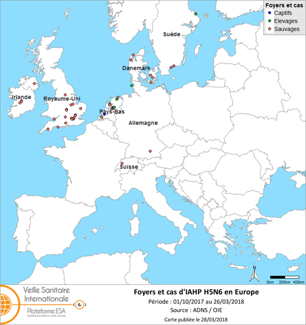 Figure 1 : Carte des foyers et de cas d’IAHP H5N6 déclarés en Europe du 1er octobre 2017 au 26 mars 2018 inclus (source : ADNS/OIE)
