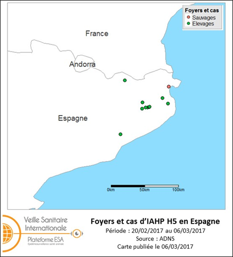 Figure 1: Foyers et cas d'IAHP H5 déclarés en Espagne (source : ADNS)