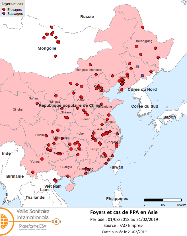 Figure 1. Localisation des foyers de PPA en Asie (source : données FAO Empres-i au 19/02/2019)