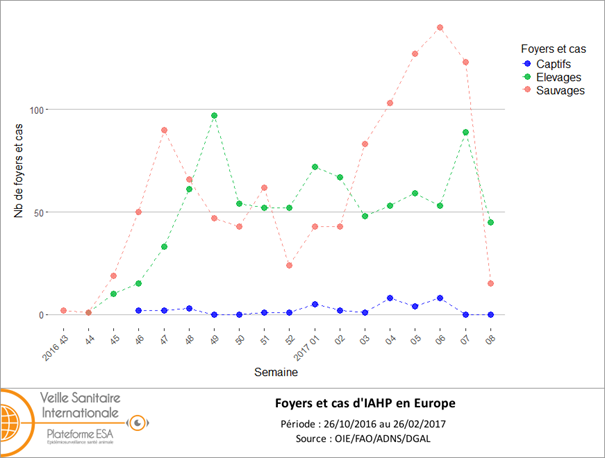 Figure 1 : Nombre de foyers et de cas d'IAHP en Europe (UE et Suisse) par semaine du 26 octobre 2016 au 26 février 2017 (inclus) (source: ADNS/OIE/DGAL)