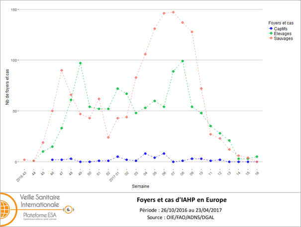 Figure 1 : Nombre de foyers et de cas d'IAHP H5 de lignée asiatique A/goose/Guangdong/1/1996 clade 2.3.4.4 en Europe (UE et Suisse) par semaine du 26 octobre 2016 au 23 avril 2017 (inclus) (source: ADNS/OIE/DGAL)