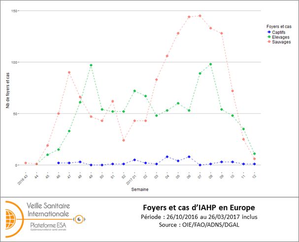 Figure 1 : Nombre de foyers et de cas d'IAHP H5 de lignée asiatique A/goose/Guangdong/1/1996 clade 2.3.4.4 en Europe (UE et Suisse) par semaine du 26 octobre 2016 au 26 mars 2017 (inclus) (source: ADNS/OIE/DGAL)