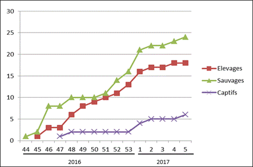 Figure 2 : Nombre cumulé par semaine de pays ayant déclaré au moins un foyer/cas d’IAHP en Europe (UE, Suisse et Ukraine) du 26 octobre 2016 au 5 février 2017 (inclus) (source: ADNS/OIE/DGAL)