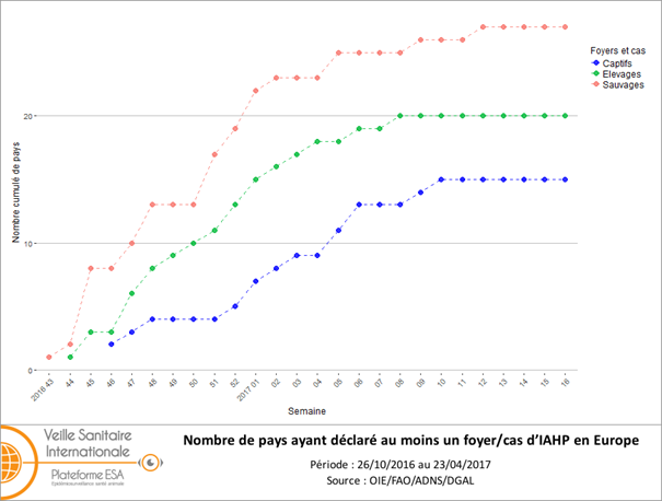 Figure 2 : Nombre cumulé par semaine de pays ayant déclaré au moins un foyer/cas d’IAHP H5 de lignée asiatique A/goose/Guangdong/1/1996 clade 2.3.4.4 en Europe (UE et Suisse) du 26 octobre 2016 au 23 avril 2017 (inclus) (source: ADNS/OIE/DGAL)