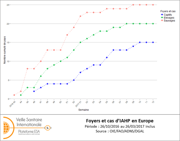 Figure 2 : Nombre cumulé par semaine de pays ayant déclaré au moins un foyer/cas d’IAHP H5 de lignée asiatique A/goose/Guangdong/1/1996 clade 2.3.4.4 en Europe (UE et Suisse) du 26 octobre 2016 au 26 mars 2017 (inclus) (source: ADNS/OIE/DGAL)