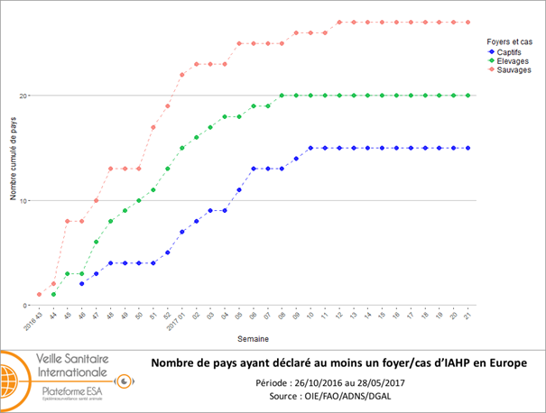 Figure 2 : Nombre cumulé par semaine de pays ayant déclaré au moins un foyer/cas d’IAHP H5 de lignée asiatique A/goose/Guangdong/1/1996 clade 2.3.4.4 en Europe (UE et Suisse) du 26 octobre 2016 au 28 mai 2017 (inclus) (source: ADNS/OIE/DGAL)