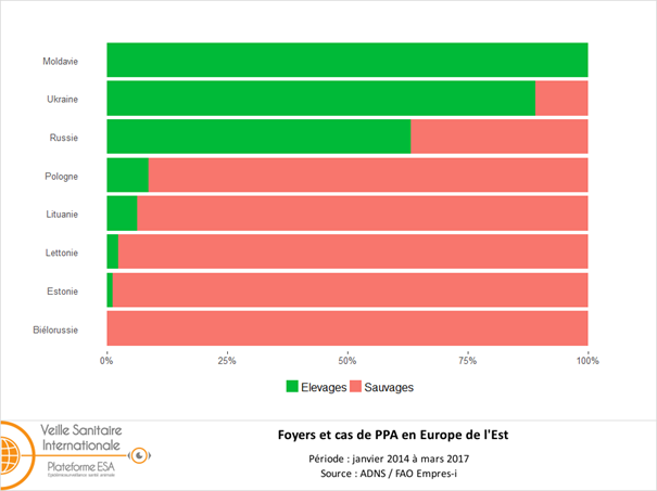 Figure 2 : Proportions relatives des foyers et cas de peste porcine africaine (PPA) dans la faune sauvage et dans les élevages dans le Nord-Est de l’Europe