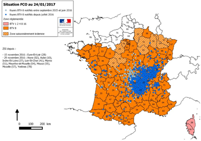 Figure 3. Zones réglementées (en orange), zones saisonnièrement indemnes (en hachuré) et foyers de FCO de sérotype 8 détectés au 24 janvier 2017.