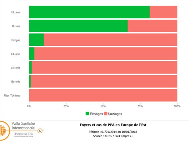 Figure 4 : Proportions relatives des foyers et des cas de peste porcine africaine (PPA) dans la faune sauvage et dans les élevages dans le Nord-Est de l’Europe