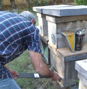 Figure 6. Mise en place de pièges dans les ruchers situés dans la zone de protection en Italie