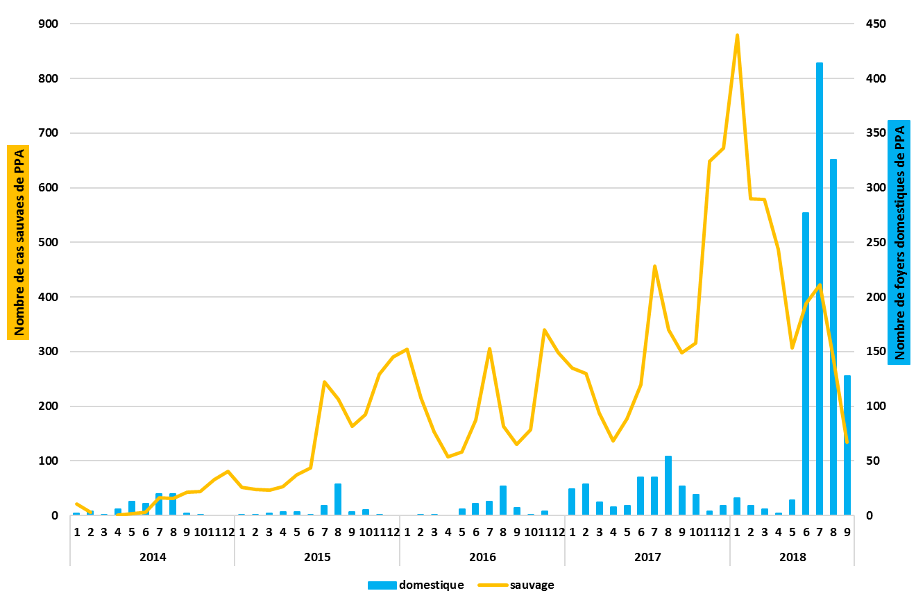 Figure : Nombre de cas de PPA dans la faune sauvage et de foyers domestiques confirmés par mois en Europe