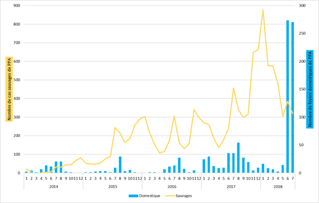 Figure : Nombre de cas de PPA dans la faune sauvage et de foyers en élevage confirmés par mois en Europe