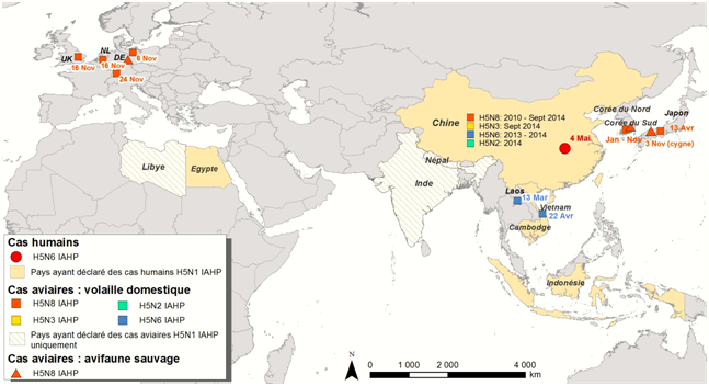 Figure 1:  Localisation des foyers et des cas incidents d’influenza aviaire hautement pathogène à virus H5Nx, chez l’Homme et l’animal, entre janvier et novembre 2014 (situation au 16 novembre 2014)