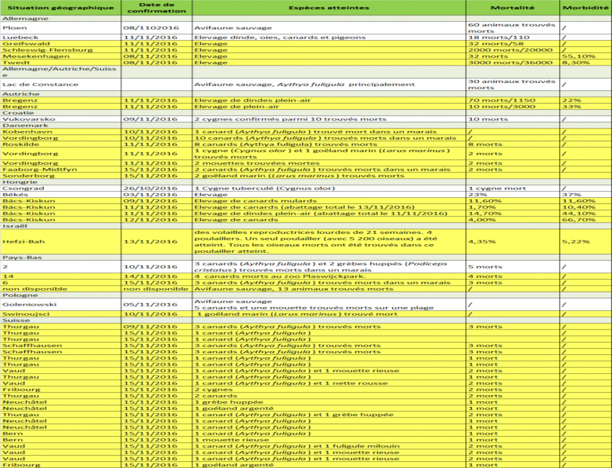 Tableau 1 : Liste des foyers et des cas d'IAHP H5N8 en Europe au 17/11/2016 (en jaune les nouveaux cas depuis la note du 10/11/2016).