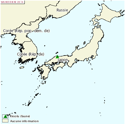 Figure 2 : Cas d’IAHP H5N8 chez un cygne siffleur au Japon (source Wahid – 13 novembre 2014)
