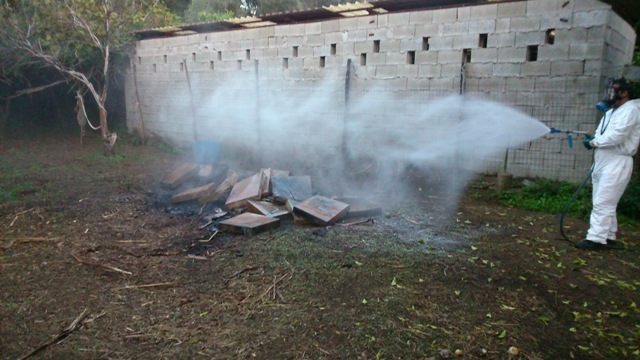 Photo 1 : traitements aux insecticides des restes d’un rucher infesté par A. tumida brulé