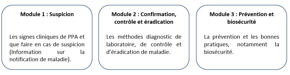 Modules peste porcine africaine - cours