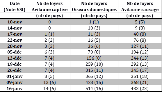 Tableau 1 : Suivi du nombre de foyers et cas d’IAHP dans l’Union européenne et en Suisse et nombre de pays atteints (entre parenthèses) déclarés du 26 octobre 2016 au 15 janvier 2017 inclus (sources : OIE/ADNS/DGAL)