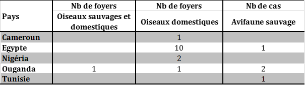 Tableau 1 : Suivi du nombre de foyers et de cas d’IAHP H5N8 déclarés en Afrique du 26 octobre 2016 au 21 février 2017 inclus (sources : OIE/FAO)