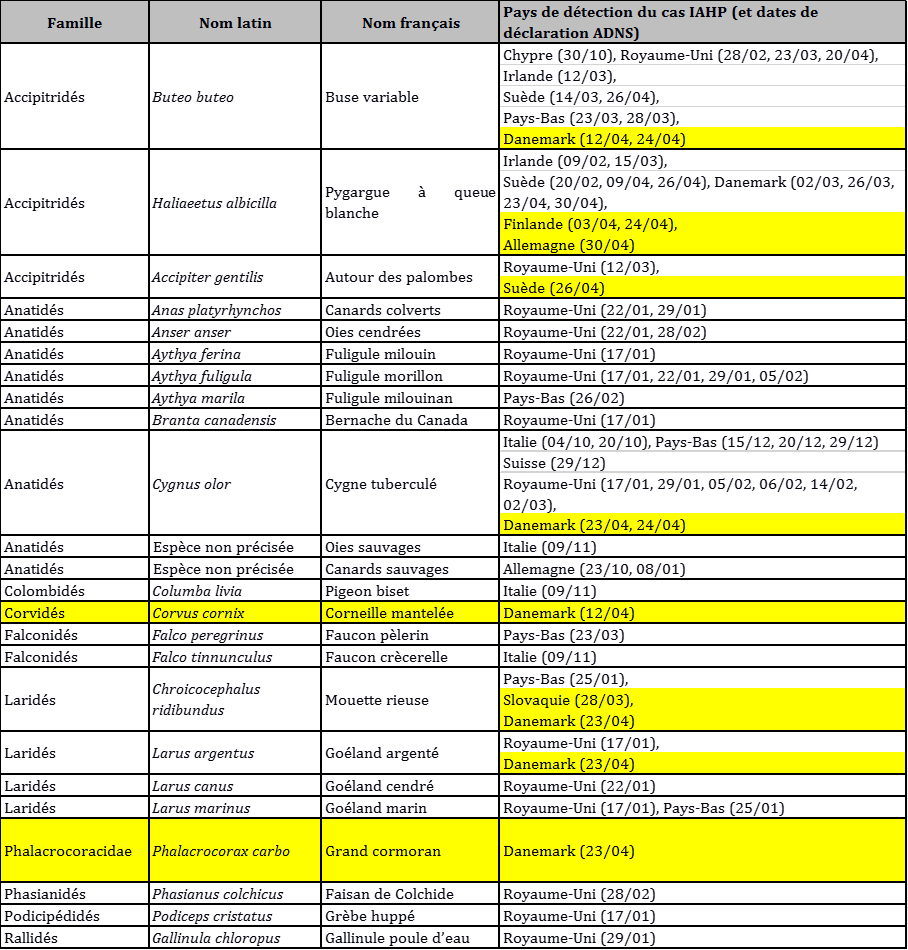 Tableau 2: Liste des espèces d'avifaune sauvage impliquées dans les cas d'IAHP en Europe du 1er octobre 2017 au 3 mai 2018 (source : ADNS) (en jaune : les nouvelles espèces/localisations depuis le dernier point)